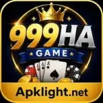 999HA Game