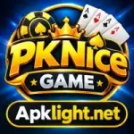 PKNice Game