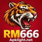RM666 Game