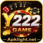 Y222 Game